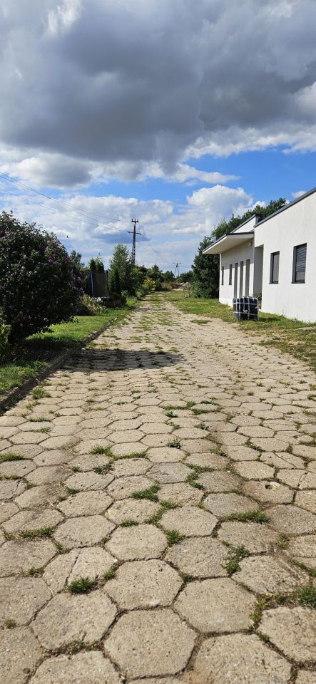 Hala/magazyn Witnica, ul. Chojeńska. Zdjęcie 27