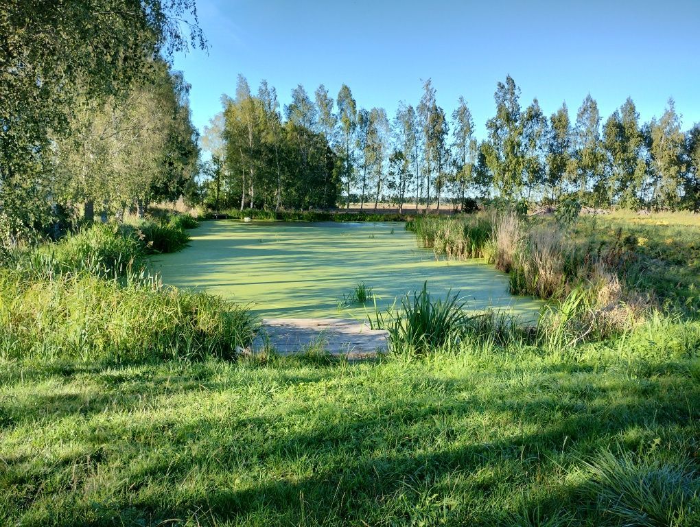 Działka rolna Wiślina. Zdjęcie 3