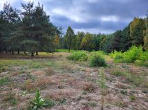 Działka siedliskowa Młynki. Zdjęcie 2