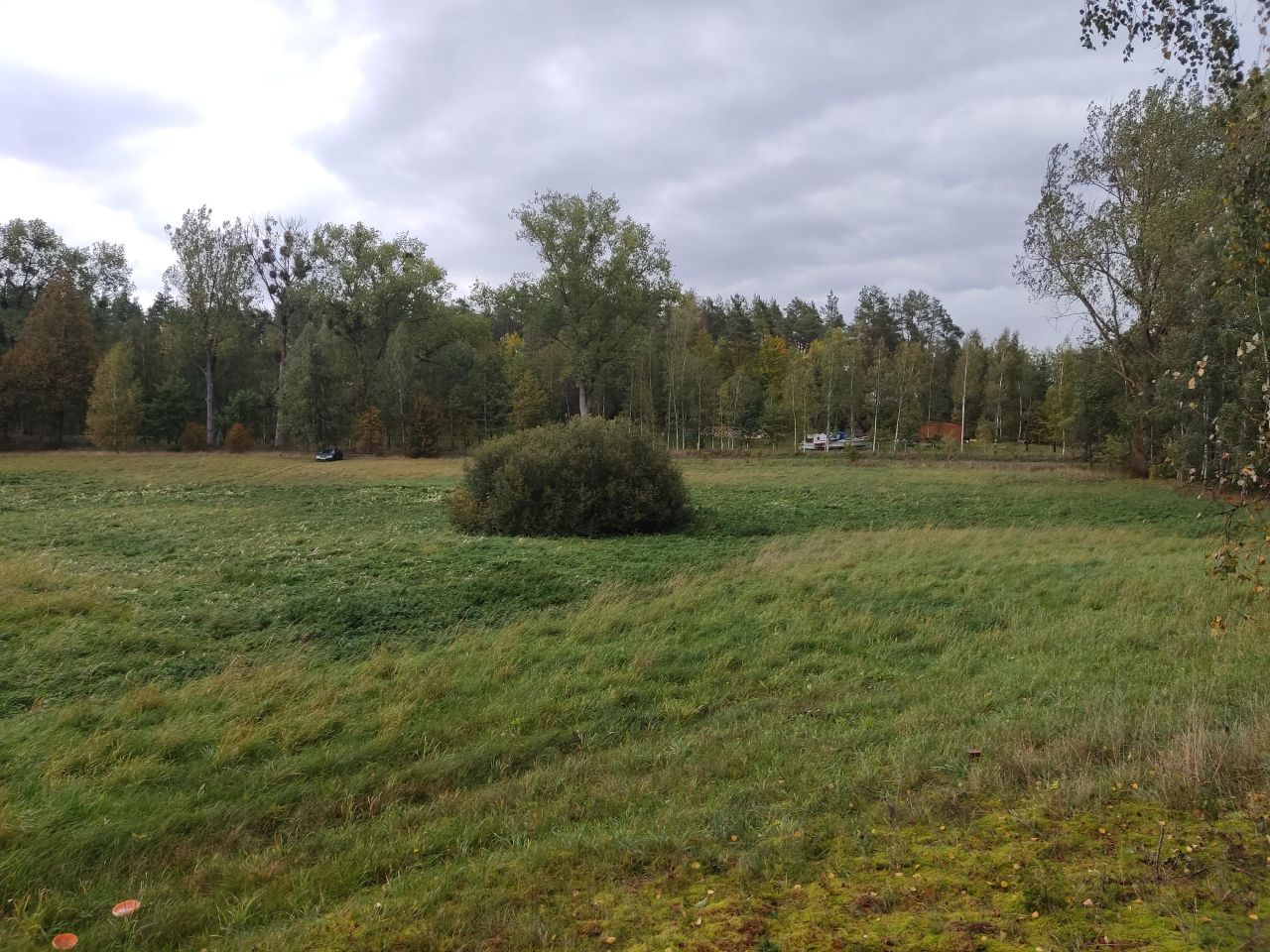 Działka rolna Rydzewo, ul. Mazurska. Zdjęcie 6