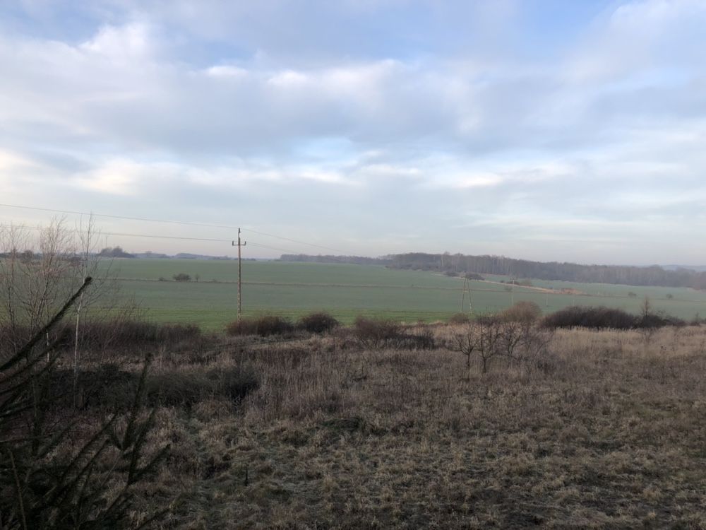 Działka budowlana Prochowice, ul. Leśna. Zdjęcie 3