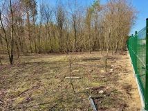 Działka inwestycyjna Żółwin. Zdjęcie 1