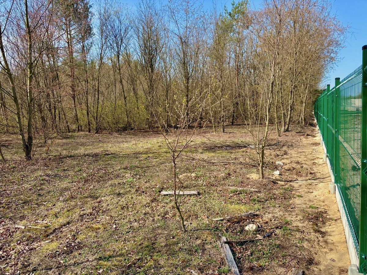 Działka inwestycyjna Żółwin. Zdjęcie 2