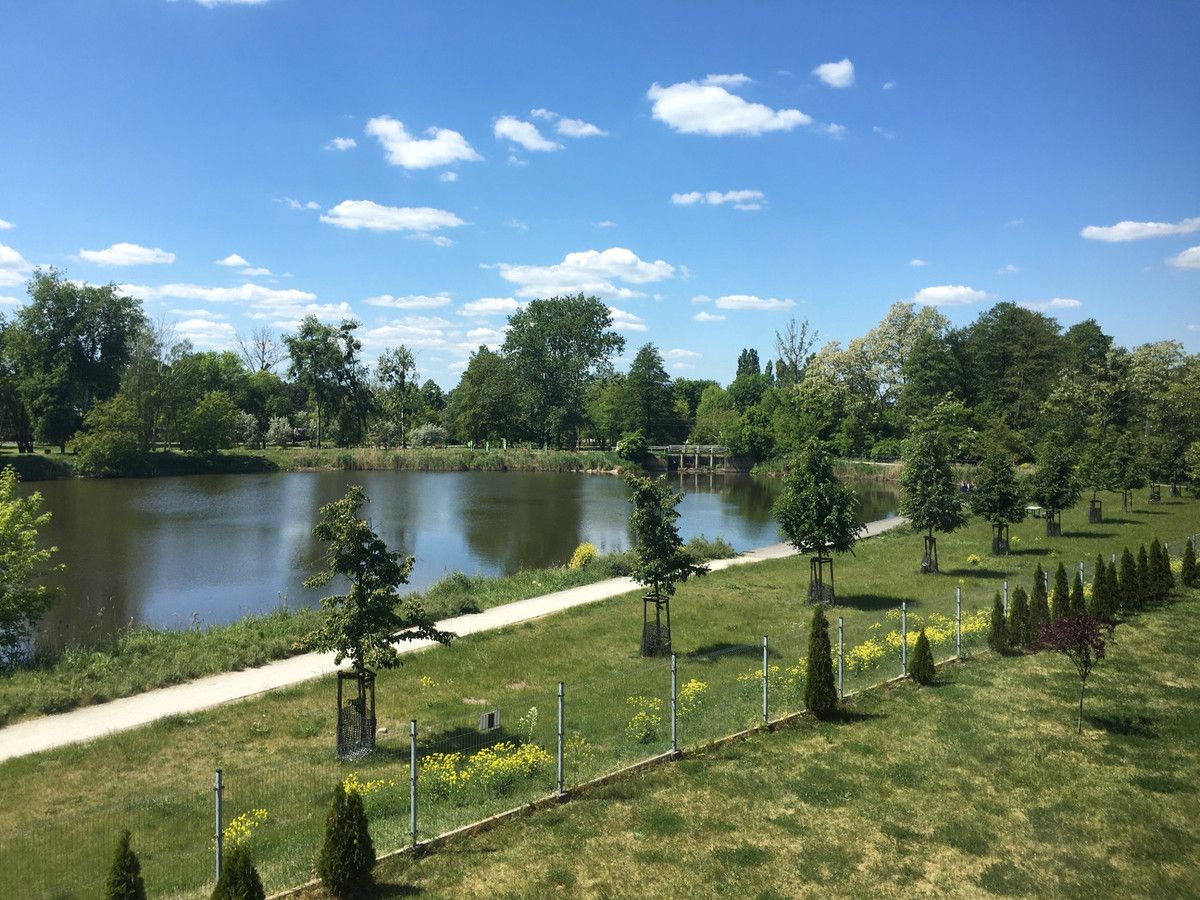 Mieszkanie 3-pokojowe Żyrardów, ul. Władysława Reymonta. Zdjęcie 6