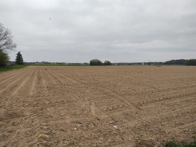 Działka siedliskowa Pruchna. Zdjęcie 8