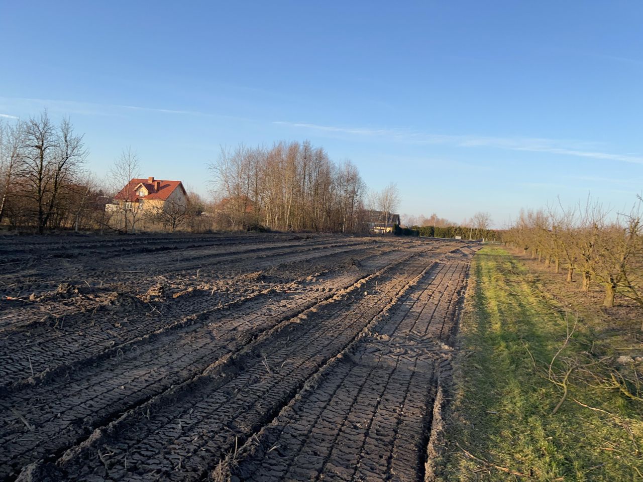 Działka budowlana Bronina, Widuchowska. Zdjęcie 5