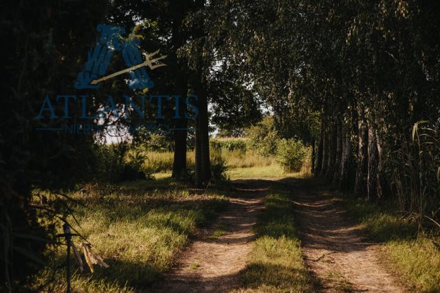 dom wolnostojący, 3 pokoje Czarże, ul. Chełmińska. Zdjęcie 5
