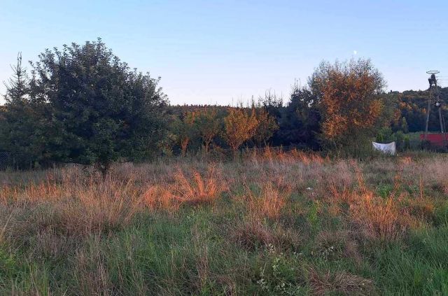 Działka rolno-budowlana Bondyrz. Zdjęcie 1