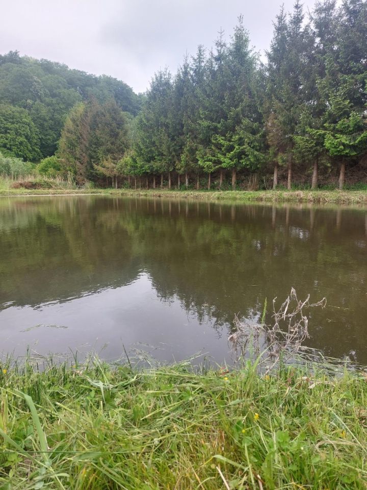 Działka budowlana Suchacz, ul. Portowa. Zdjęcie 20