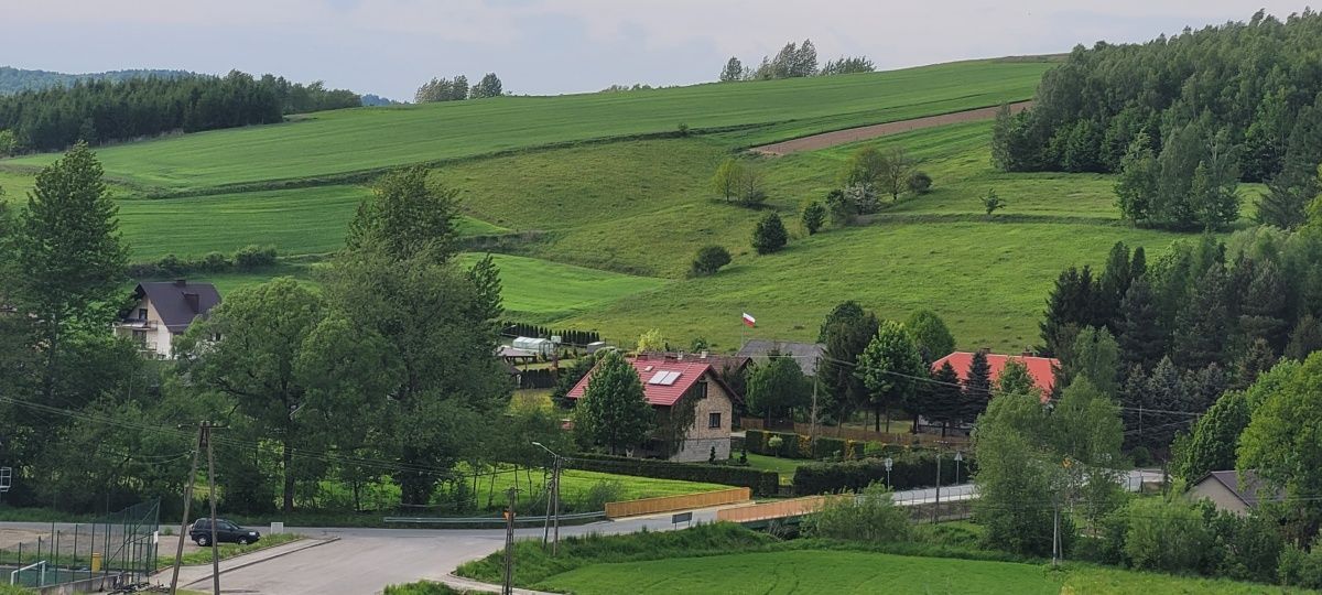 Działka budowlana Siedliska-Bogusz. Zdjęcie 2