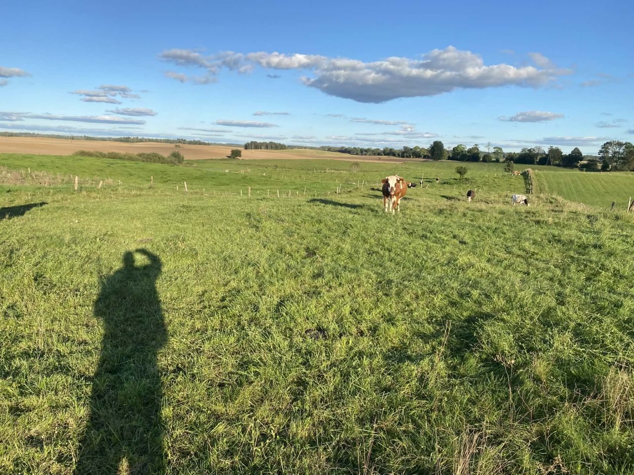 Działka budowlana Jeziorowskie, Jeziorowskie. Zdjęcie 11