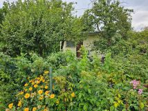 Działka rod Michałów-Reginów, ul. Warszawska. Zdjęcie 2