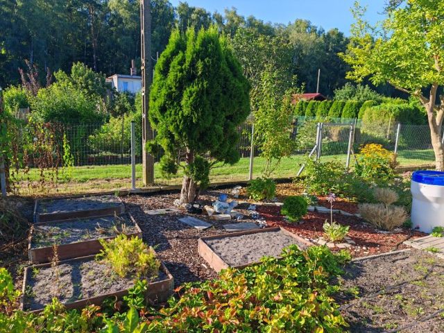 Działka rod Świnoujście. Zdjęcie 1