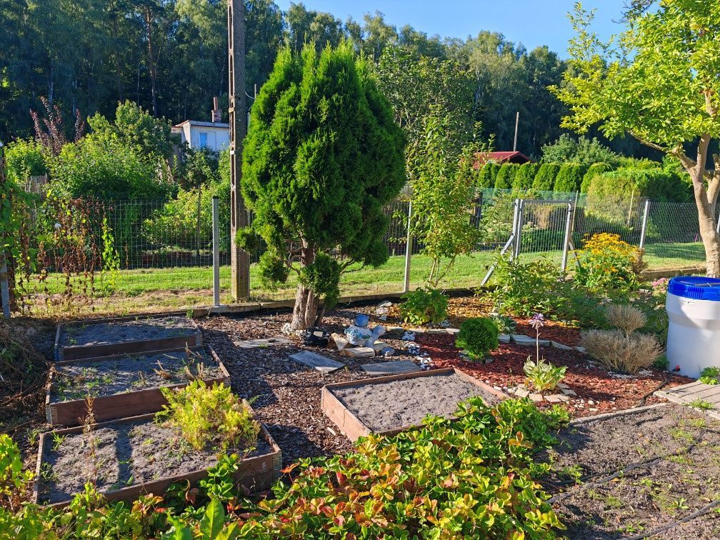 Działka rod Świnoujście. Zdjęcie 1