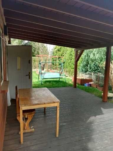 Działka rod Złotkowo. Zdjęcie 3