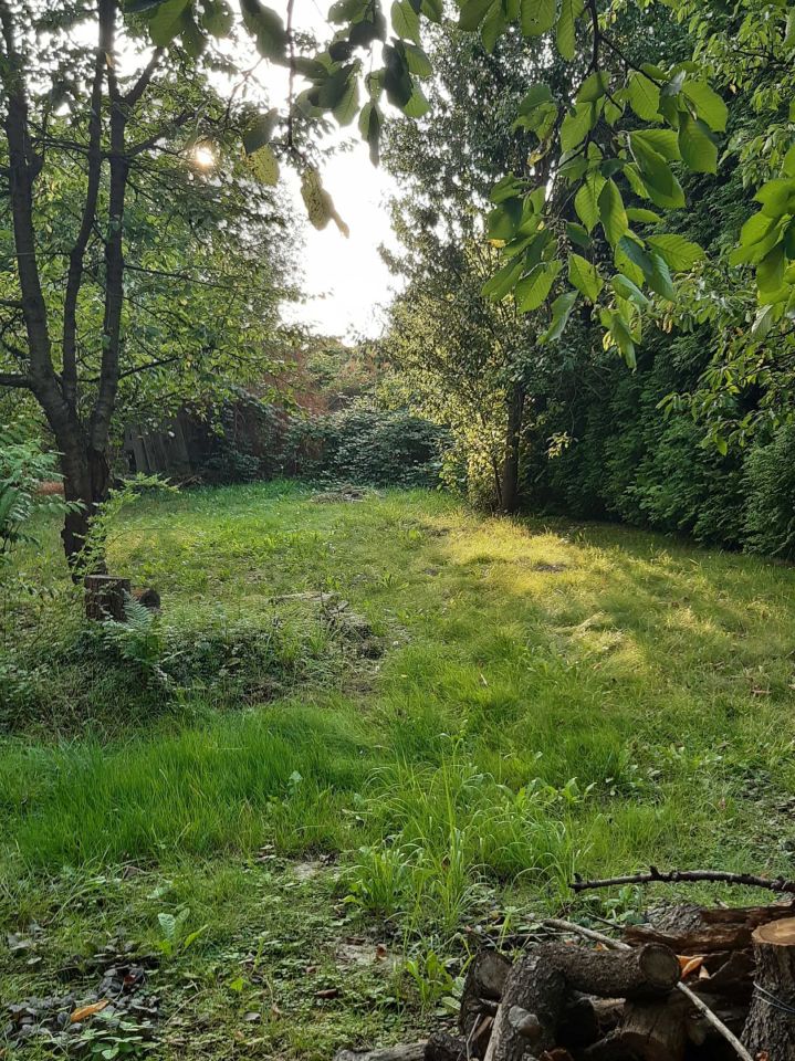 Działka rod Czeladź Kolonia Rożka, ul. Węglowa. Zdjęcie 6