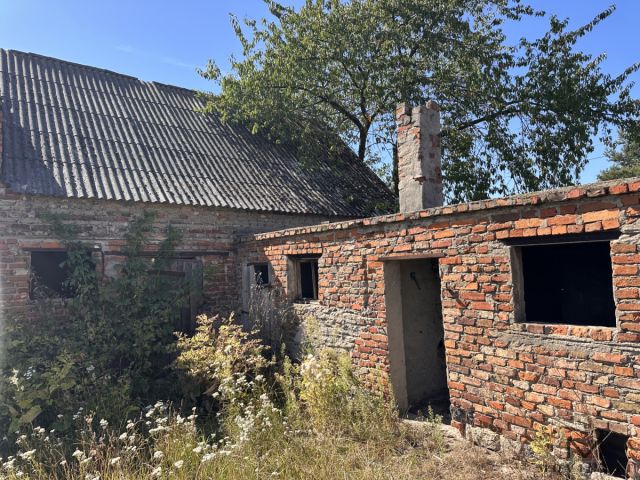 dom wolnostojący, 4 pokoje Berkowo. Zdjęcie 5