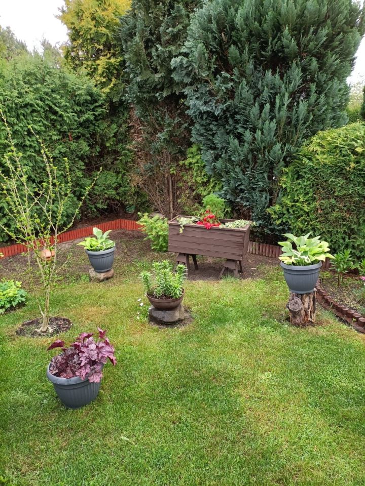 dom letniskowy Lisi Ogon. Zdjęcie 8