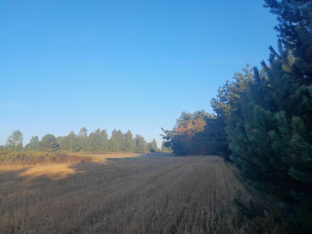 Działka budowlana Słotwiny. Zdjęcie 4