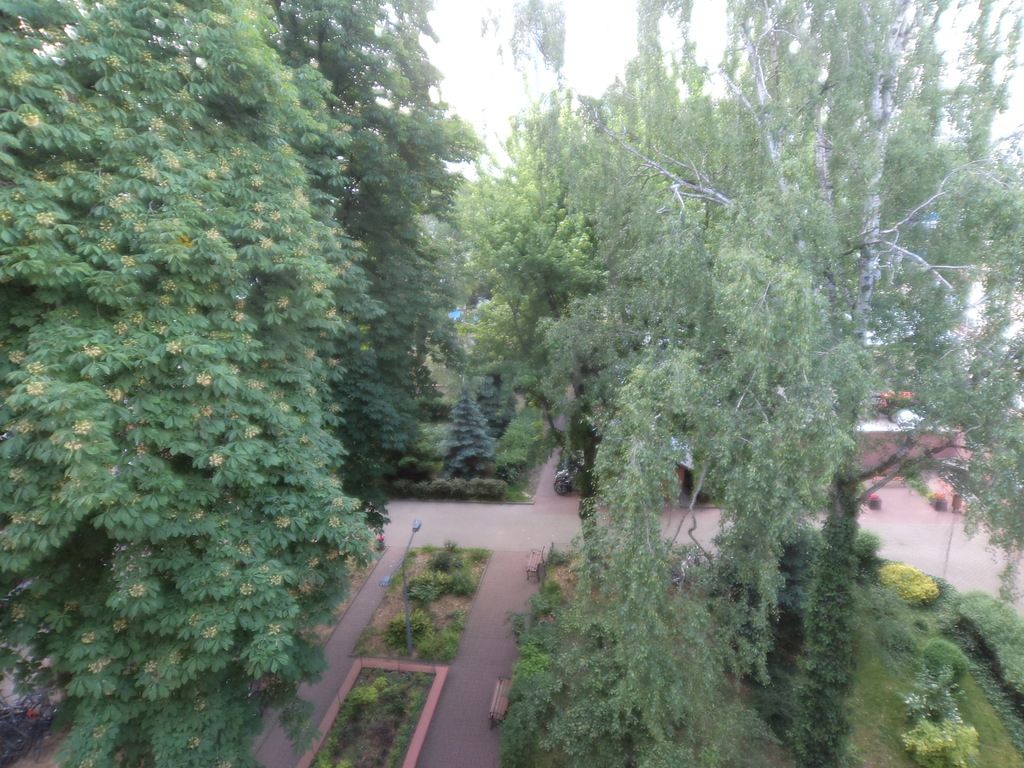 Mieszkanie 5-pokojowe Warszawa Ochota, ul. Nowowiejska. Zdjęcie 3