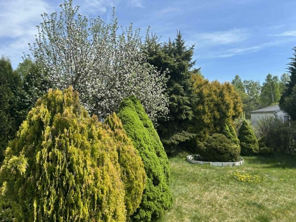 Działka rod Łódź Widzew. Zdjęcie 7