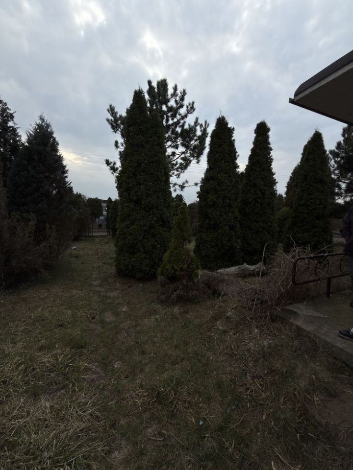 Działka rod Sosnowiec Niwka, ul. Portowa. Zdjęcie 3