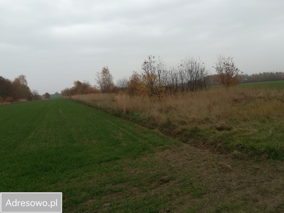 Działka rolna Radomsko, ul. Wieniawskiego. Zdjęcie 2