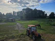 Działka rolna Rębiszewo-Studzianki. Zdjęcie 1