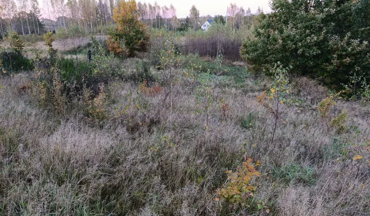 Działka budowlana Szarłata, ul. Długa