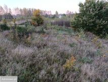 Działka budowlana Szarłata, ul. Długa