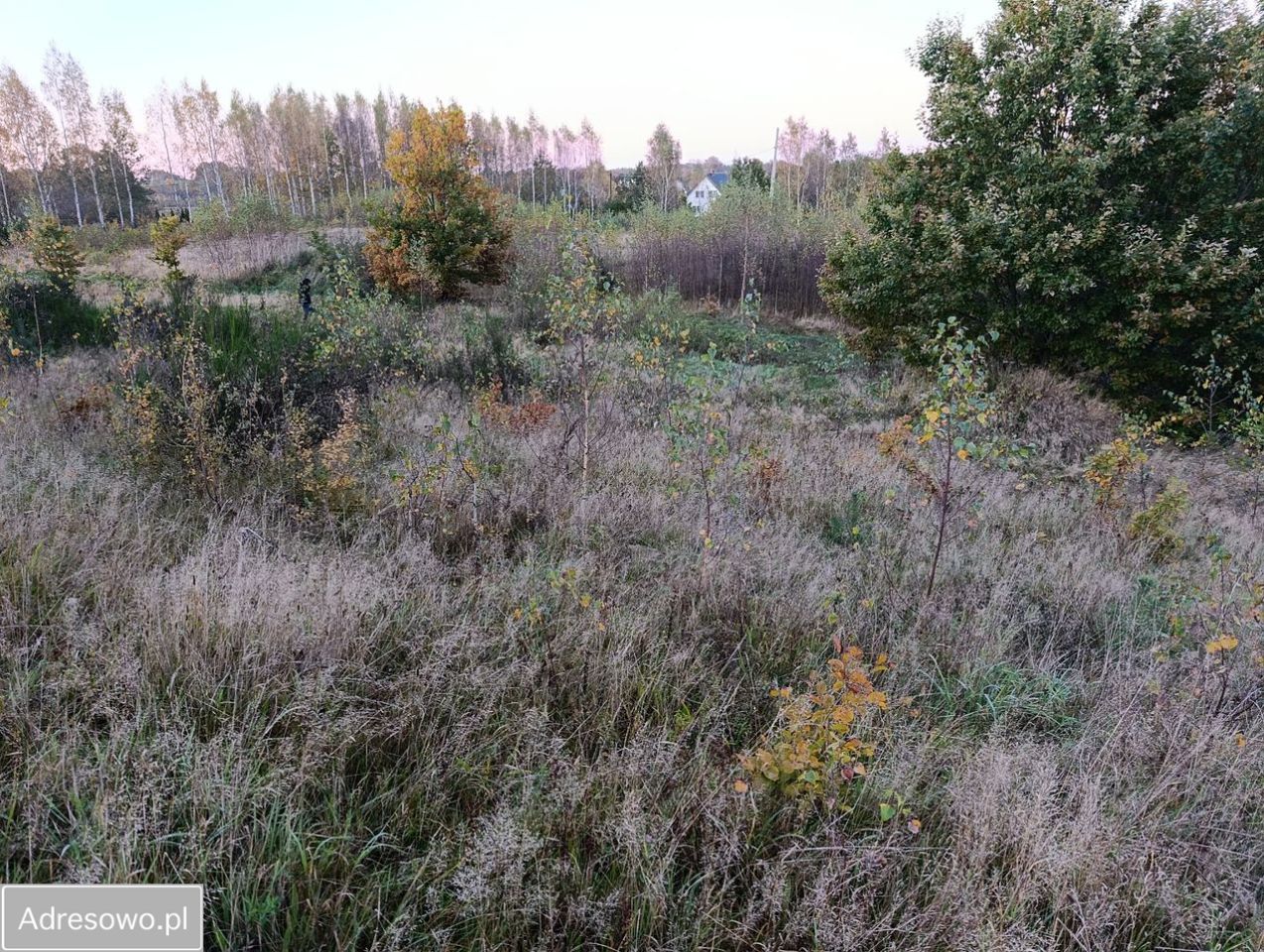 Działka budowlana Szarłata, ul. Długa