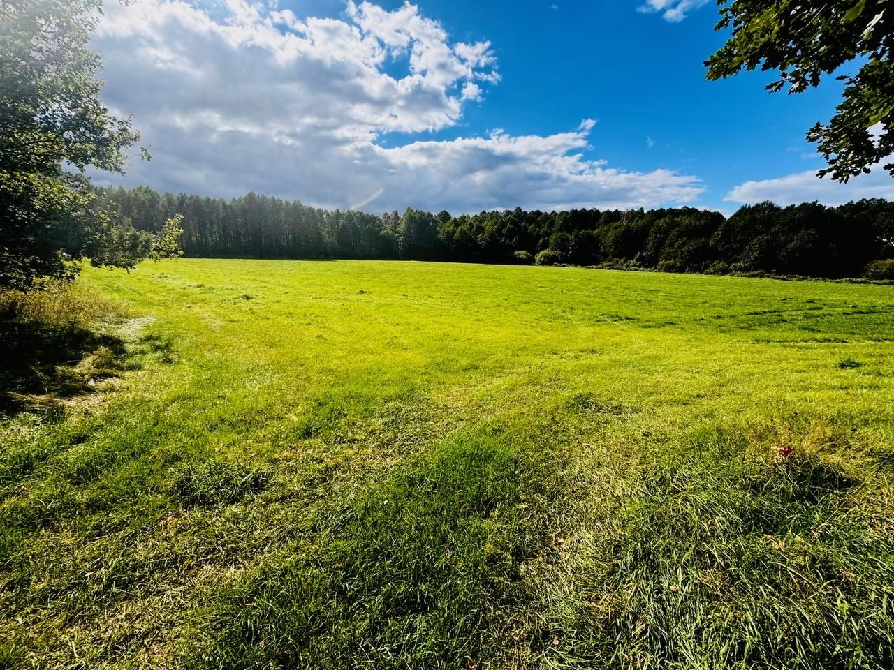 Działka rolna Nitki. Zdjęcie 11