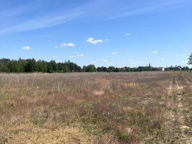 Działka budowlana Wudzyn. Zdjęcie 3