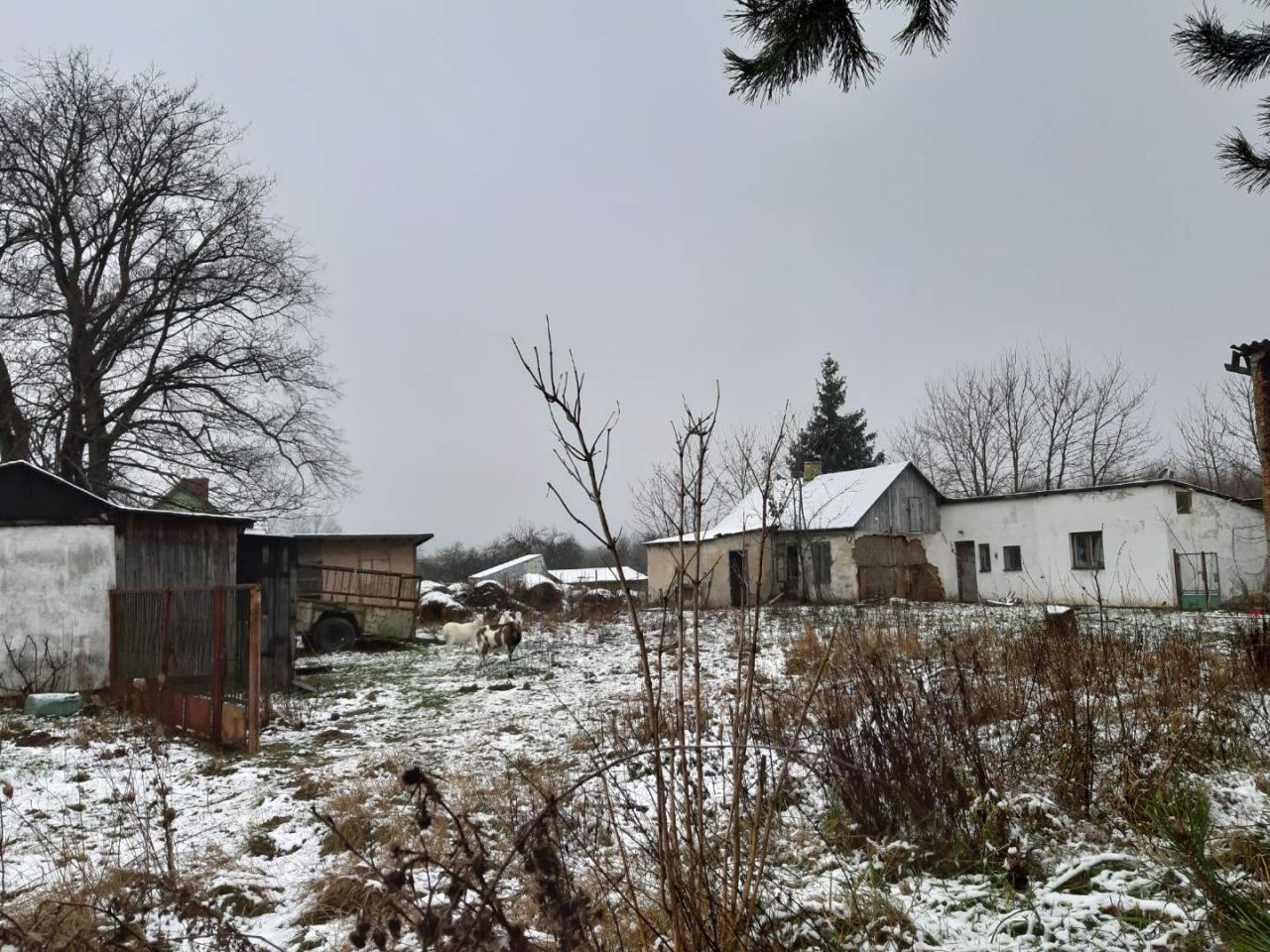 Działka budowlana Palmiry, ul. Miła. Zdjęcie 5