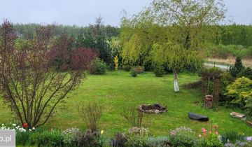 Działka rekreacyjna Zalesie