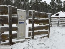 Działka budowlana Jedlicze B, ul. Józefa Bema. Zdjęcie 3