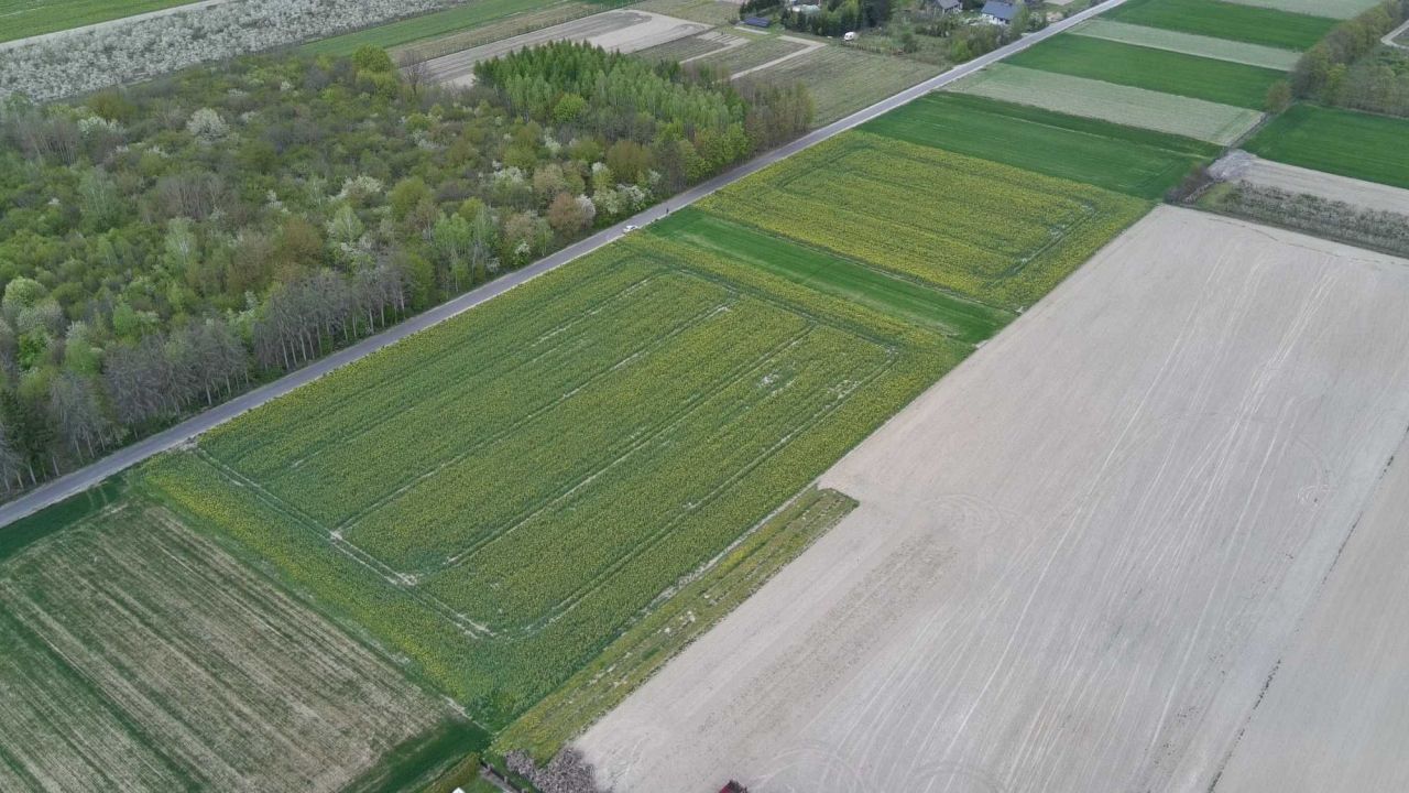 Działka rolno-budowlana Branica Radzyńska-Kolonia. Zdjęcie 7