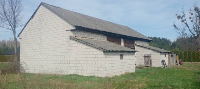 Działka budowlana Suskowola Cyganówka. Zdjęcie 5