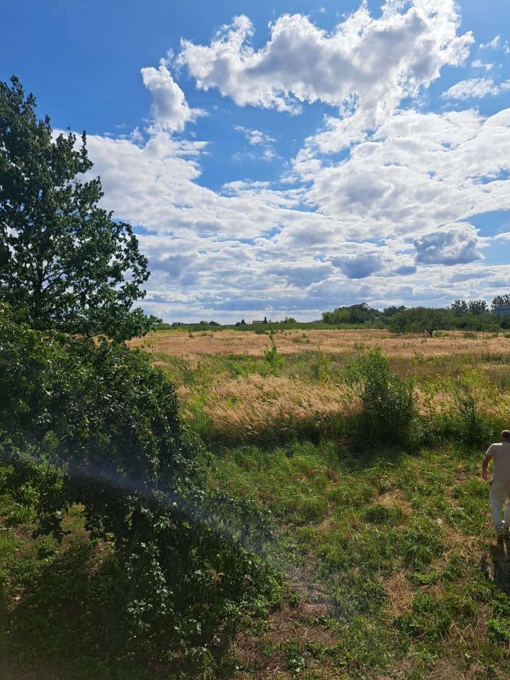 Działka rolno-budowlana Zalesie. Zdjęcie 5