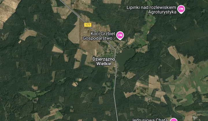 Działka rolna Dzierżążno Wielkie