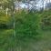 Działka leśna Ustronie, ul. Ustronie. Zdjęcie 5