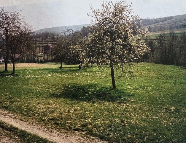 Działka budowlana Lanckorona Kopań, ul. Kopań. Zdjęcie 1