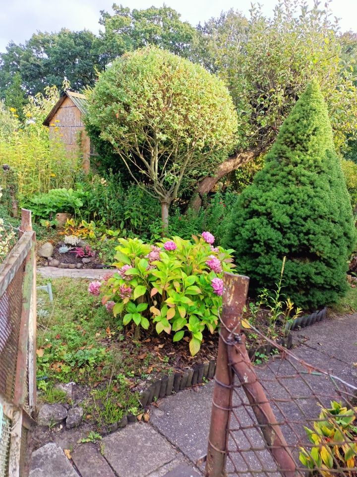 Działka rod Wrocław Stabłowice. Zdjęcie 2