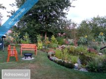 dom letniskowy, 3 pokoje Koty. Zdjęcie 3