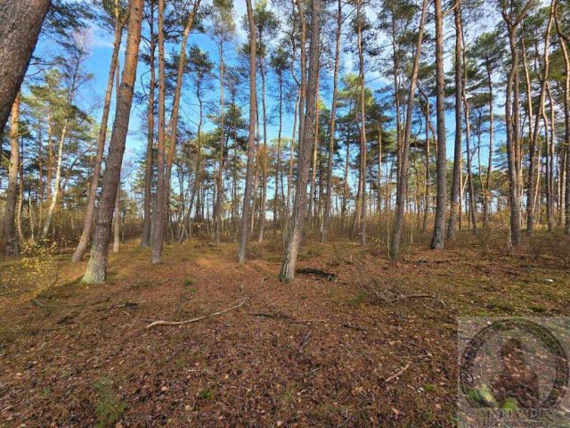 Działka budowlana Dziwnów. Zdjęcie 6