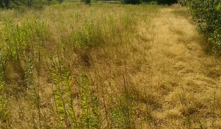 Działka rolna Dąbrówka
