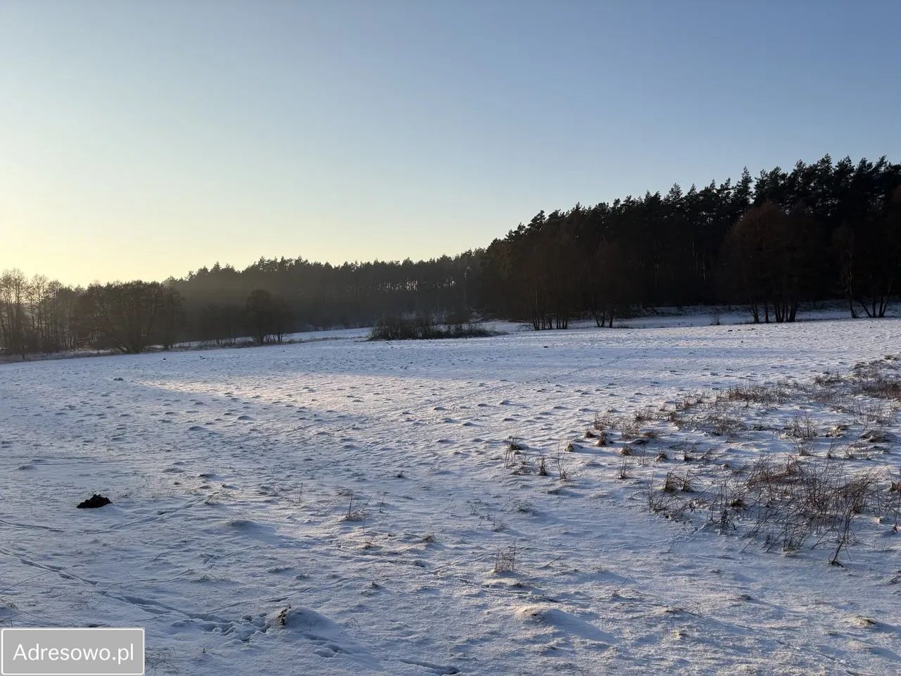 Działka rekreacyjna Dębówiec. Zdjęcie 8