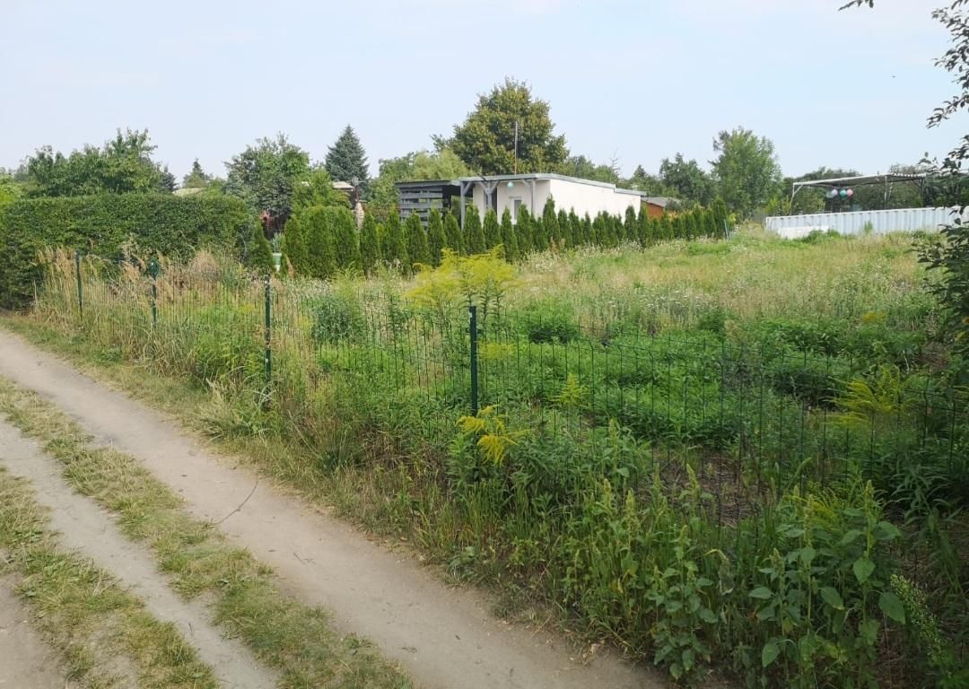 Działka rod Piechcin. Zdjęcie 2