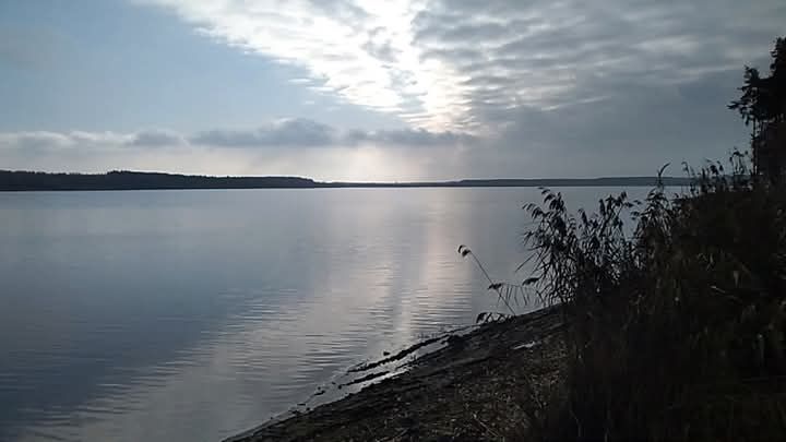 Działka budowlana Brudnów. Zdjęcie 10