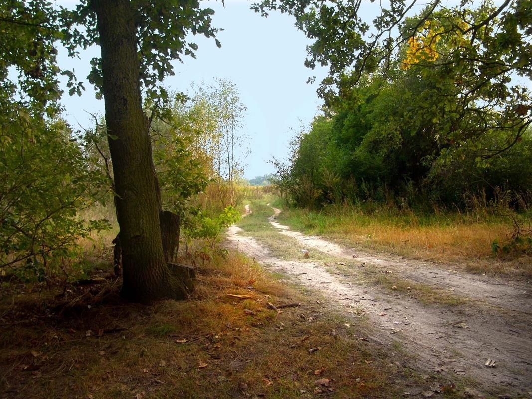 dom wolnostojący, 3 pokoje Magdalenka, ul. Piaskowa. Zdjęcie 52